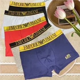 EMPORIO ARMAN Fashion solid color logo print breathable briefs boxer briefs Underwear 3pcs-2410  