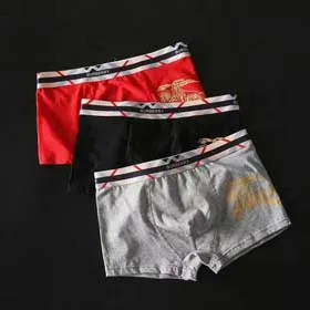 burberry Men's Fashionable Horse Printed Briefs Boxer Briefs Underwear 3pcs-2415  