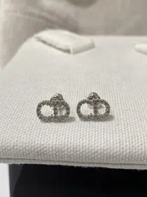 Dior classic rhinestone earrings-3603  
