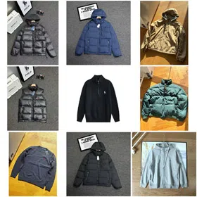 Polo Ralph Lauren Pony Embroidery Shiny Half-High Collar Long-Sleeved Down Jacket-4272  