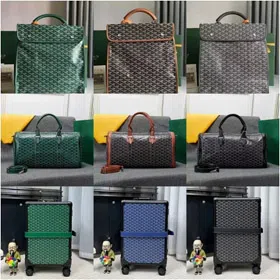Goyard travel bag with leather handle-4646  